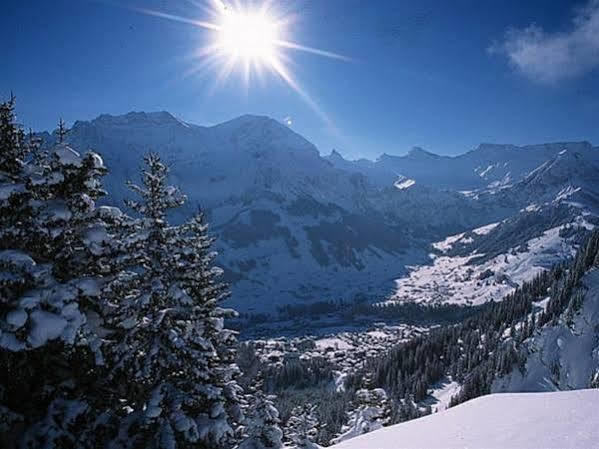 Adler Adelboden Hotel ภายนอก รูปภาพ